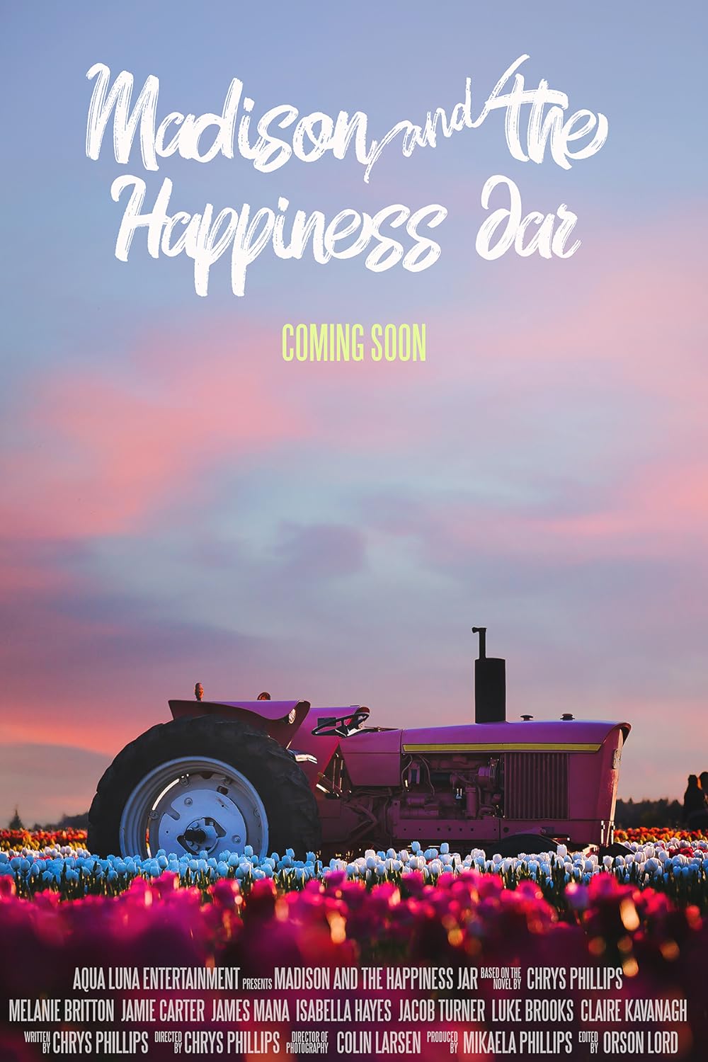 Madison and the Happiness Jar 