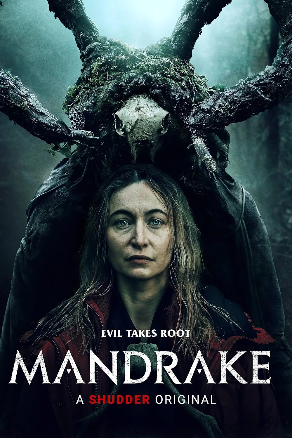 Mandrake 