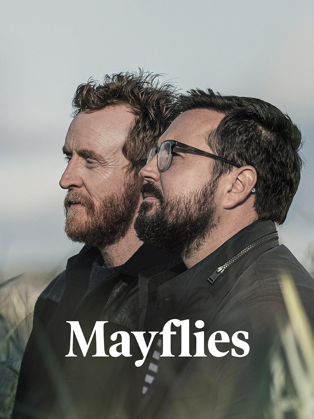 Mayflies 