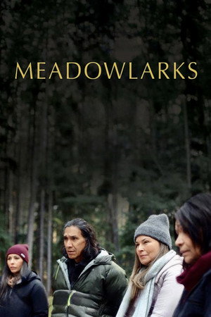 Meadowlarks 