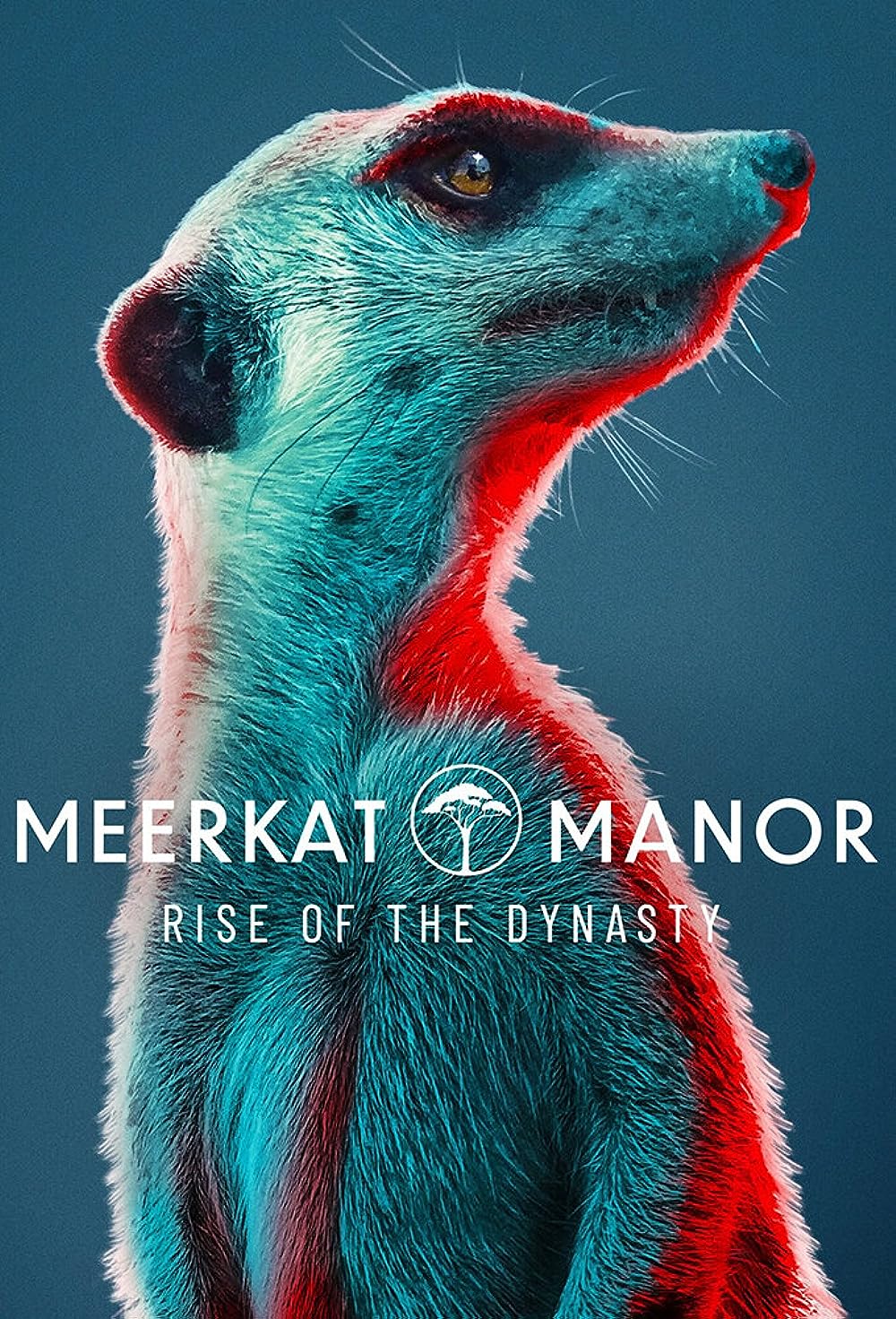Meerkat Manor: Rise of the Dynasty 
