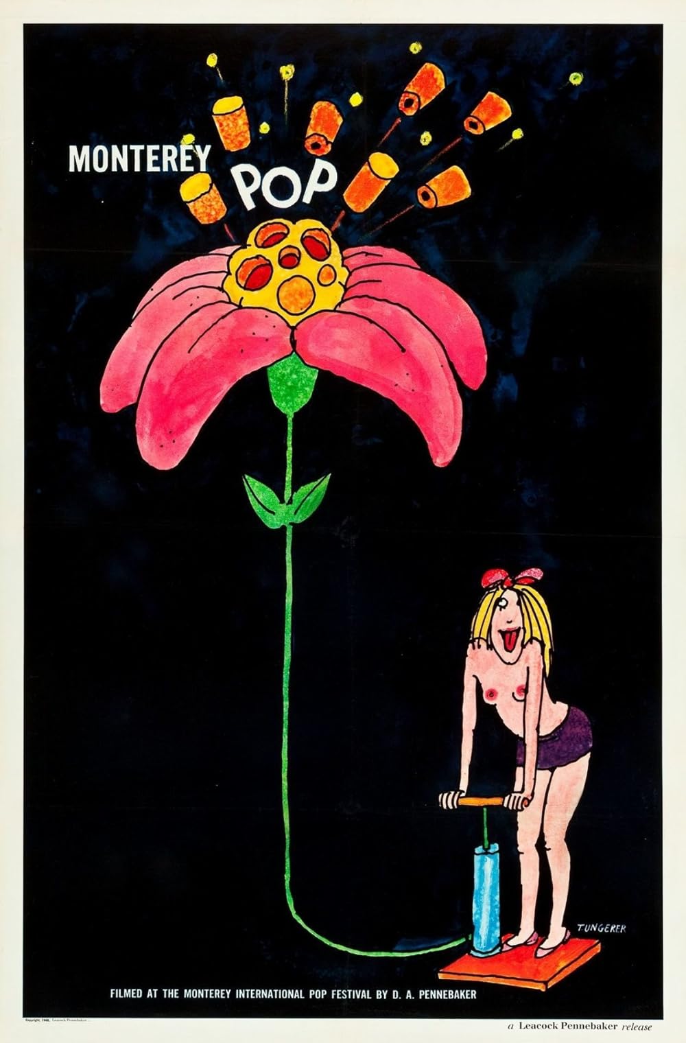 Monterey Pop 