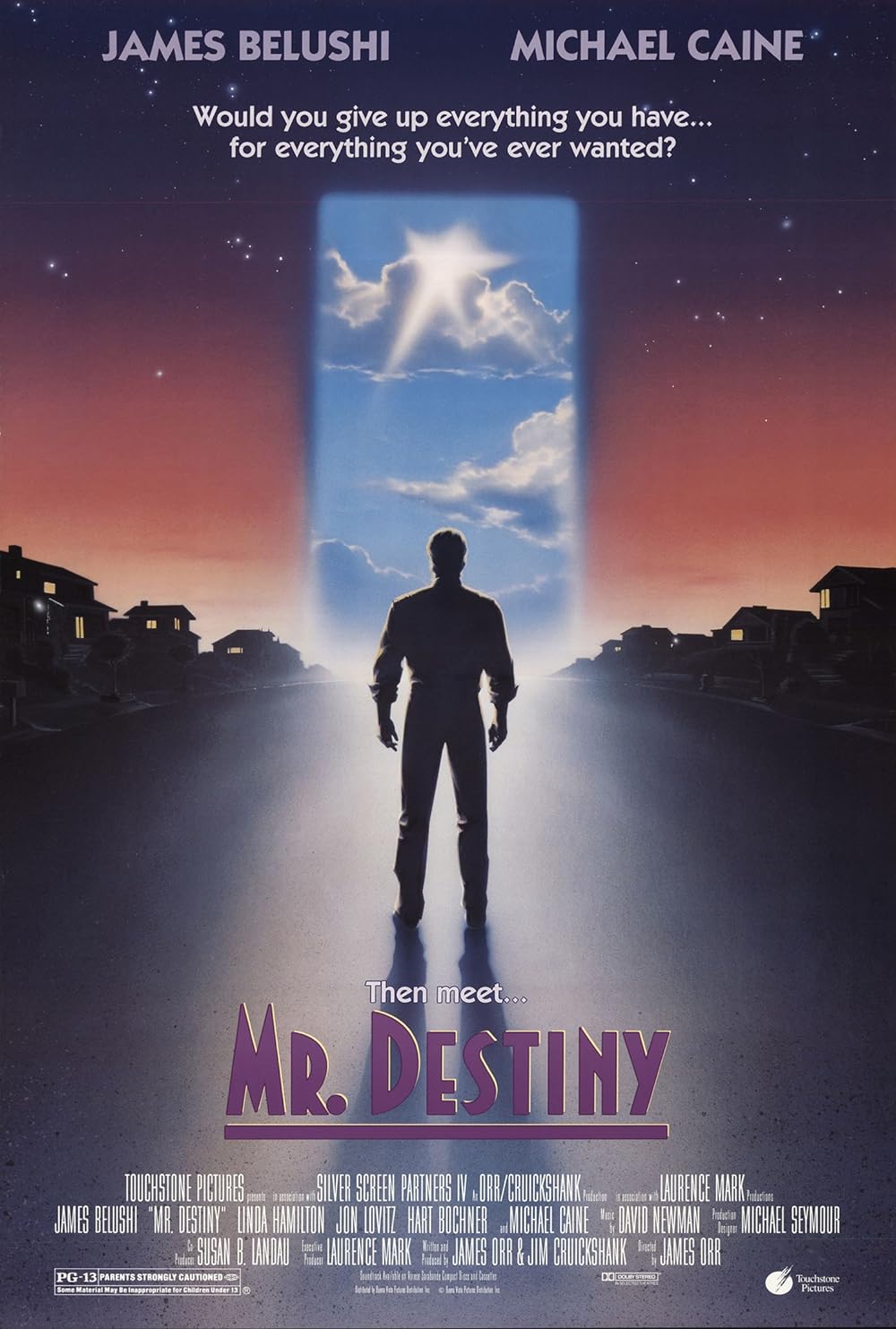 Mr. Destiny 