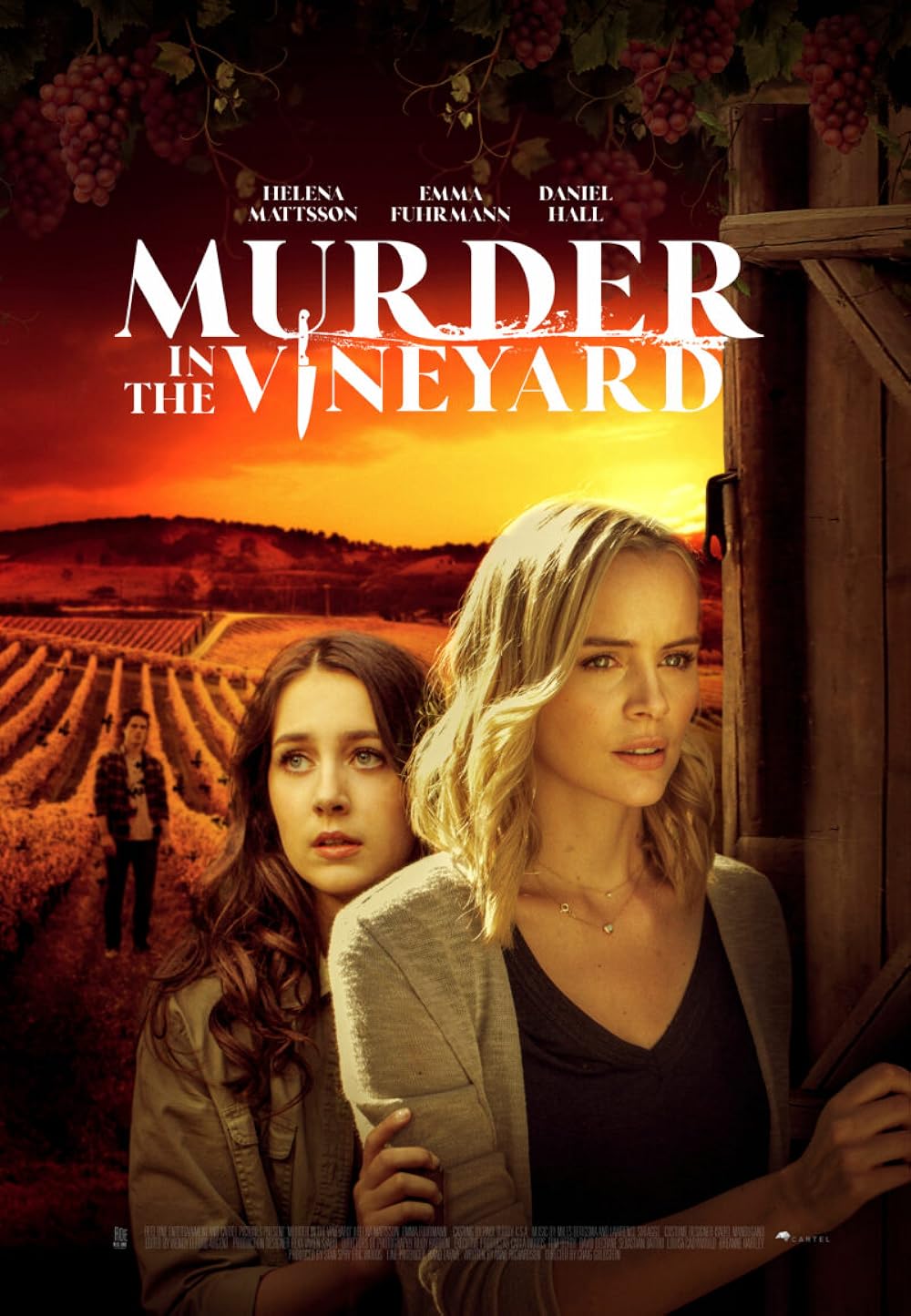 Murder in the Vineyard 