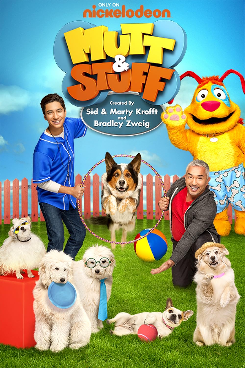 Mutt & Stuff 