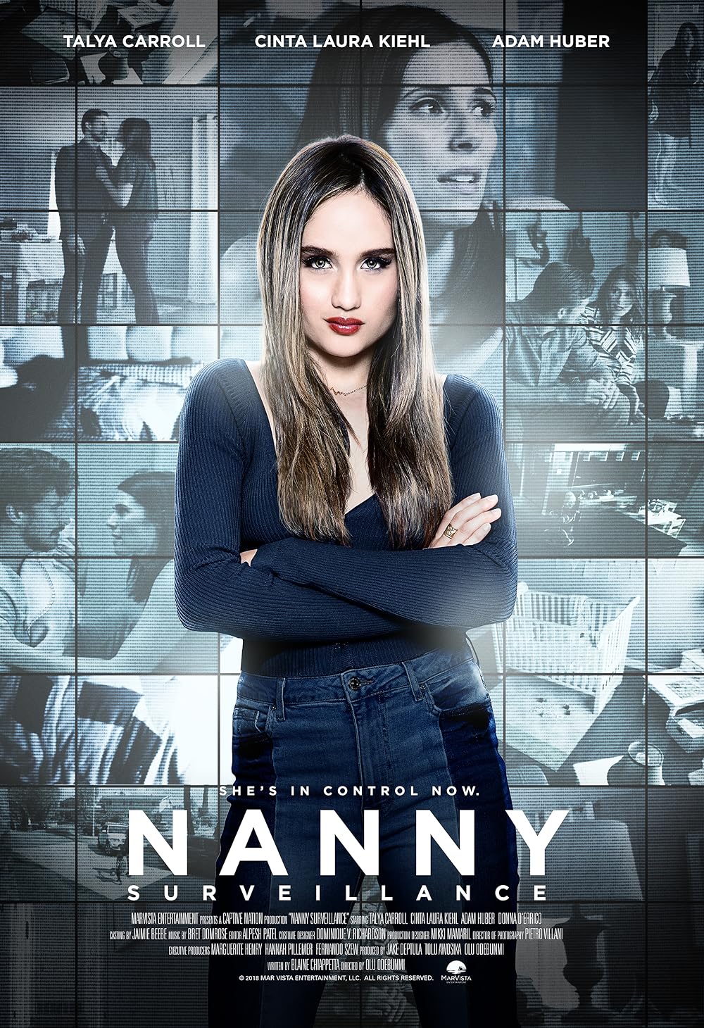Nanny Surveillance 