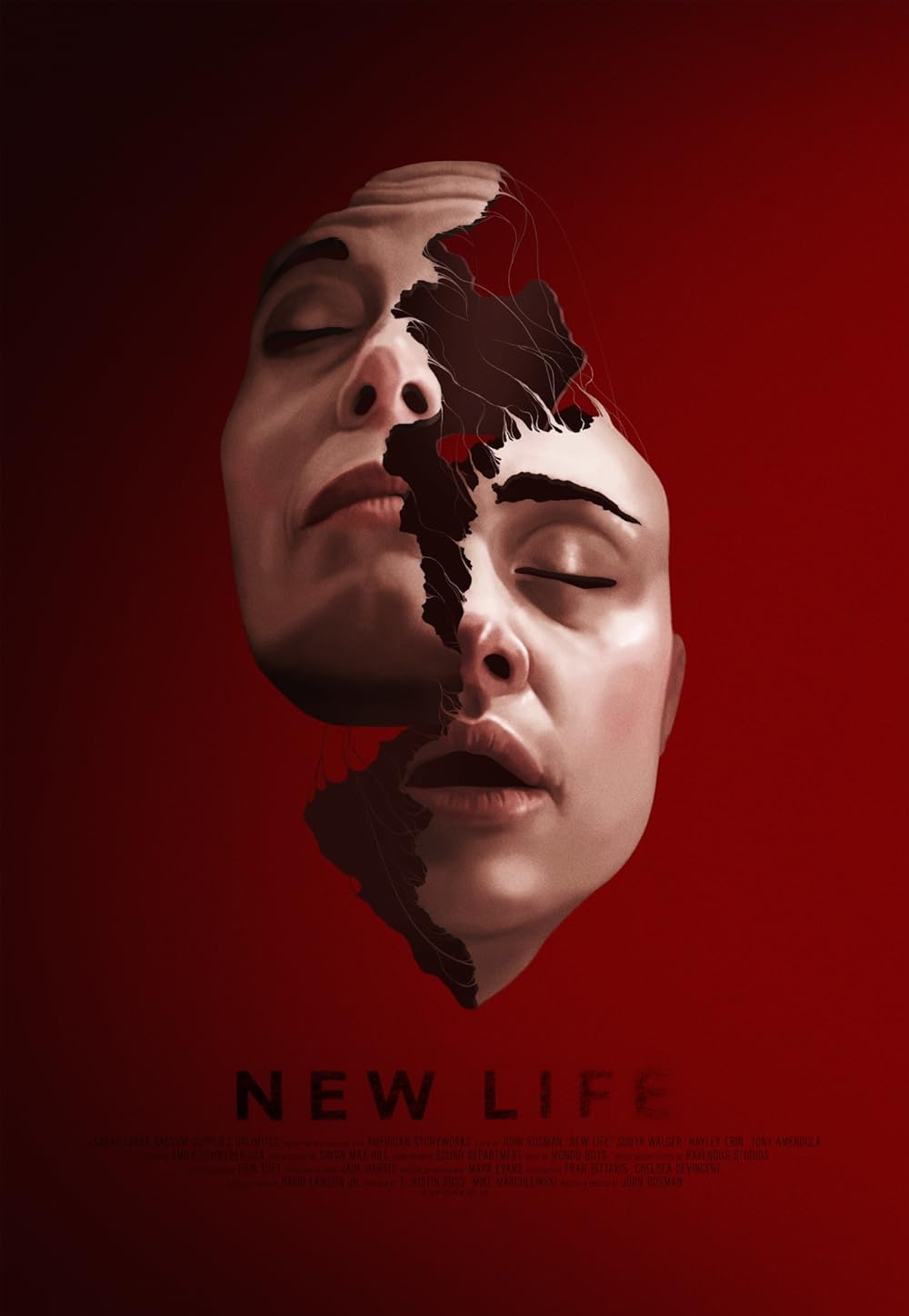 New Life 