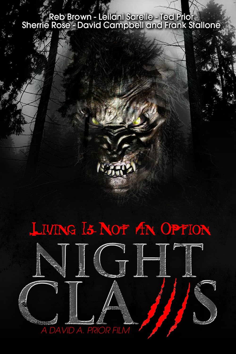 Night Claws 