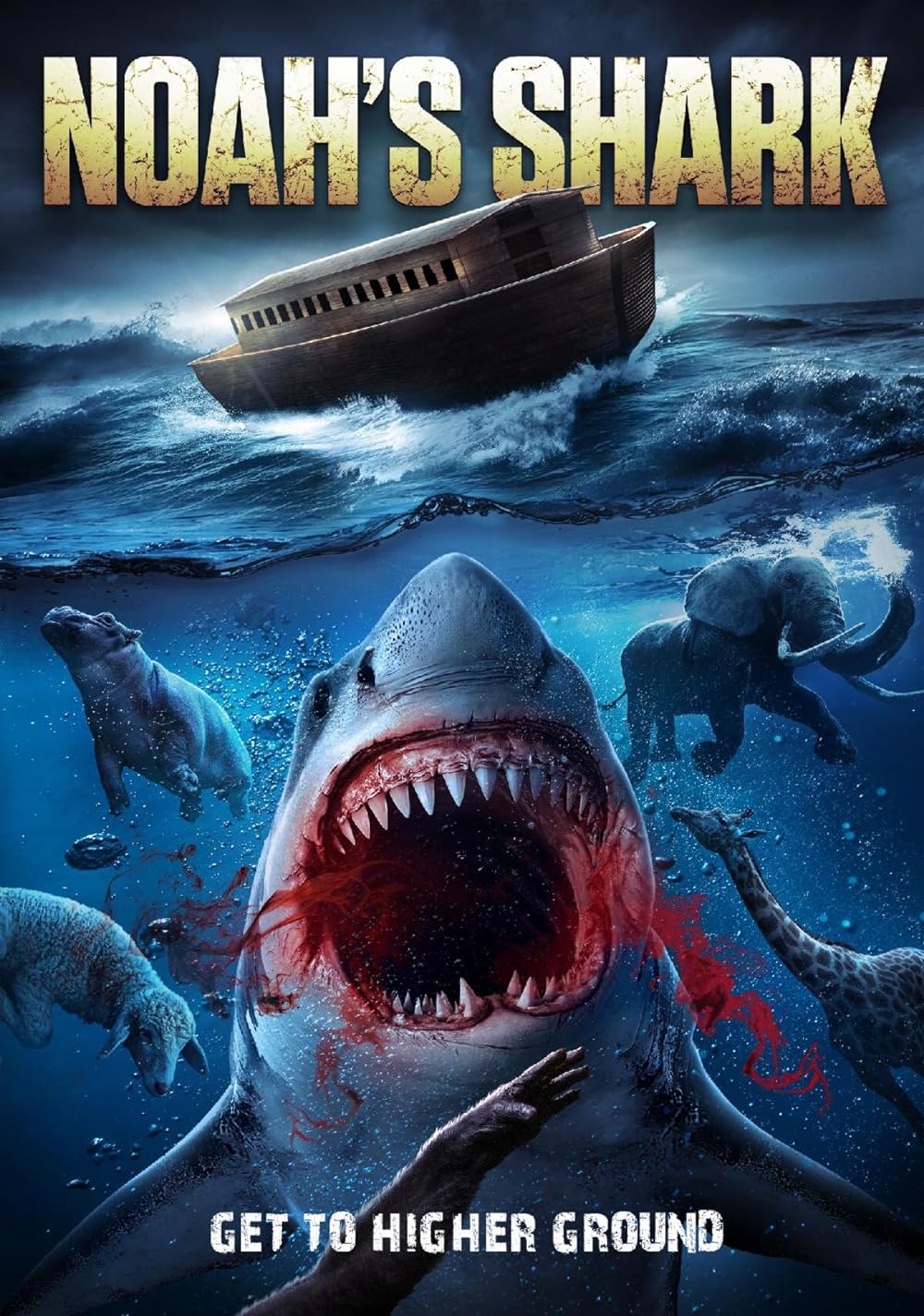 Noah's Shark 