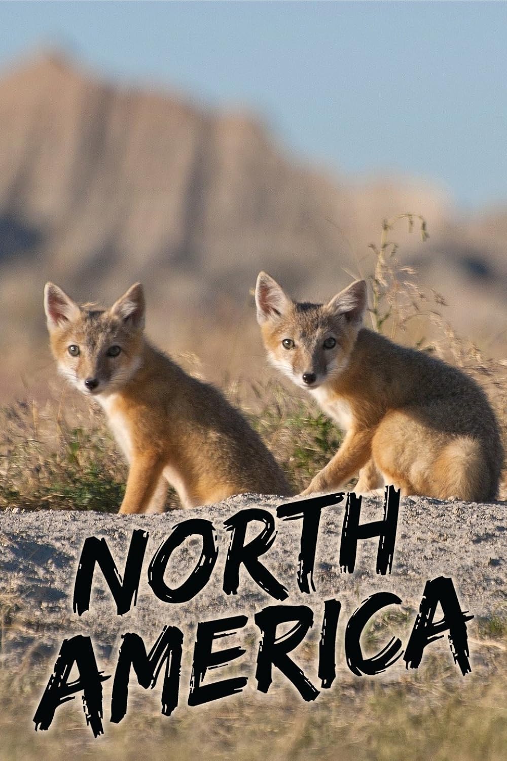 North America 