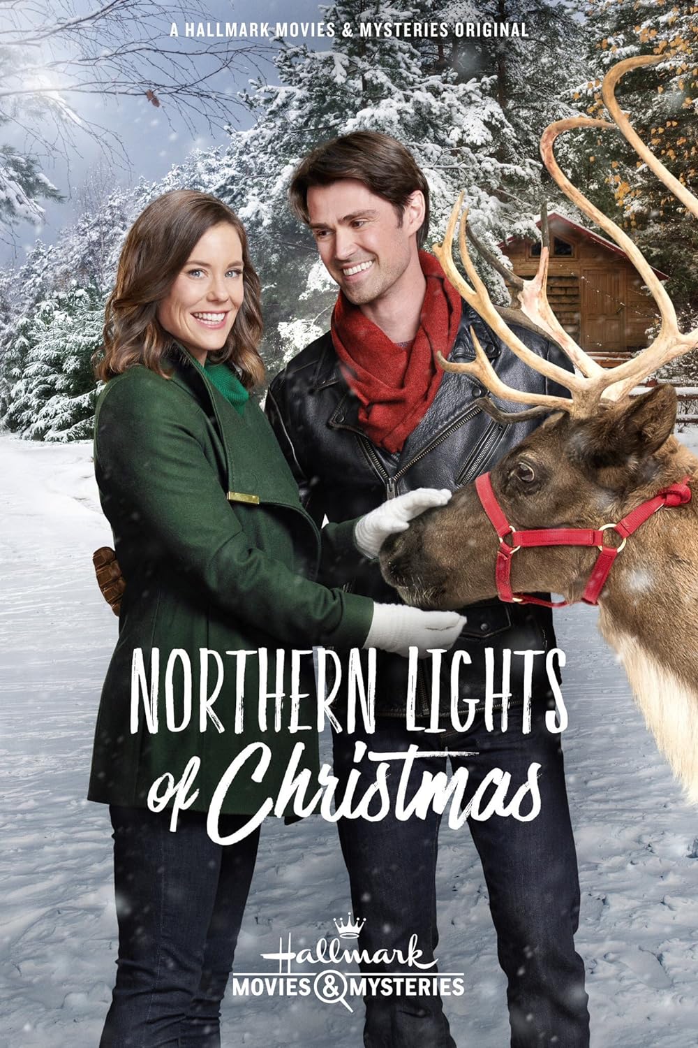 Northern Lights of Christmas 