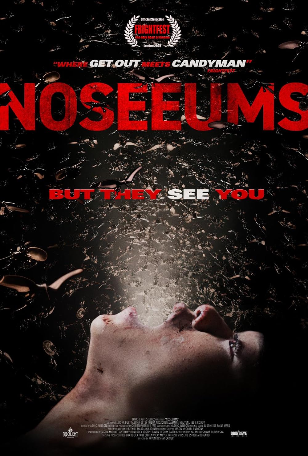 Noseeums 