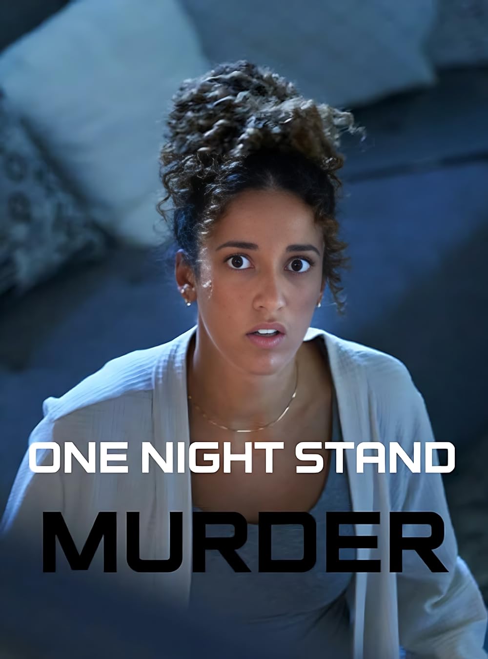 One Night Stand Murder 