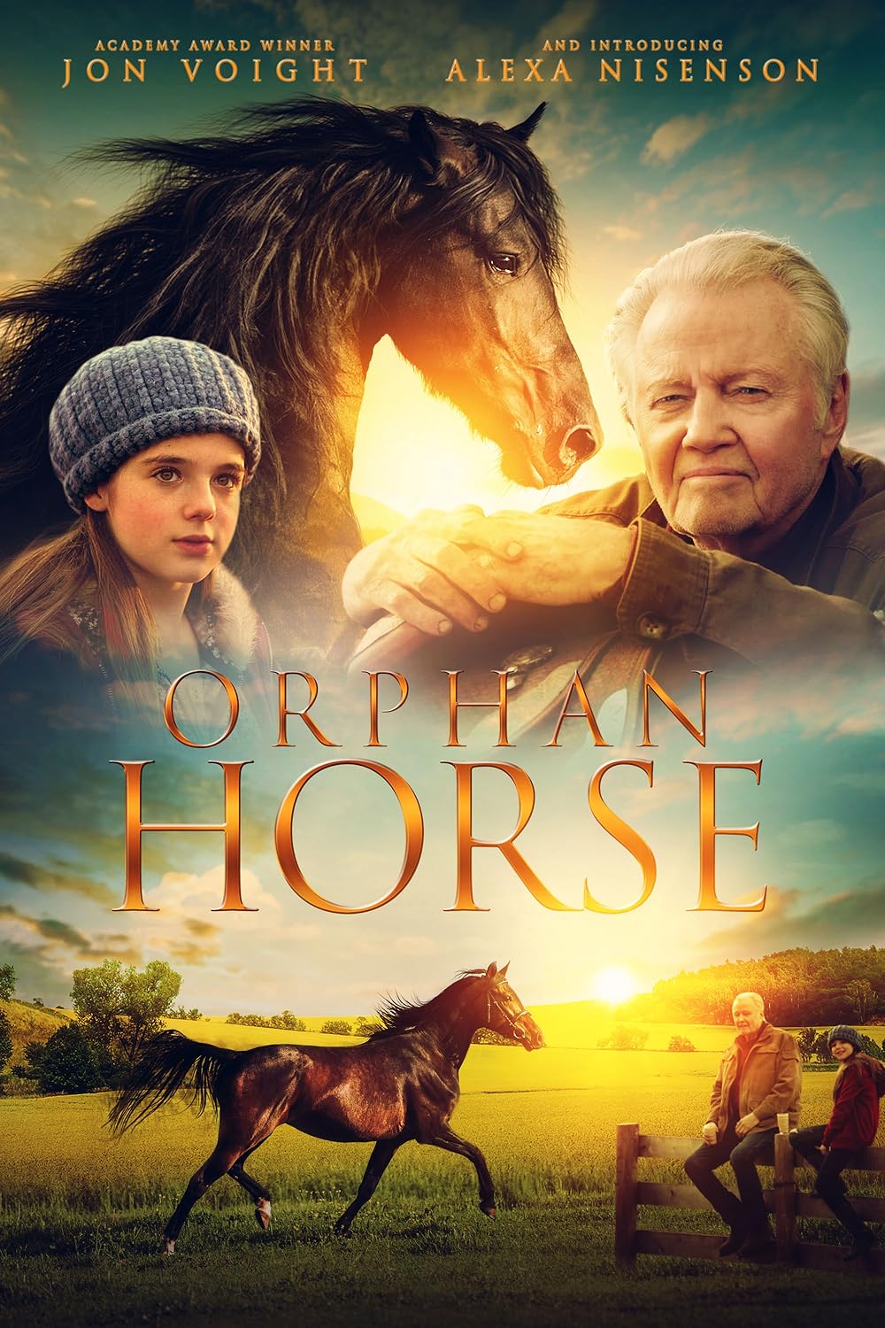 Orphan Horse 
