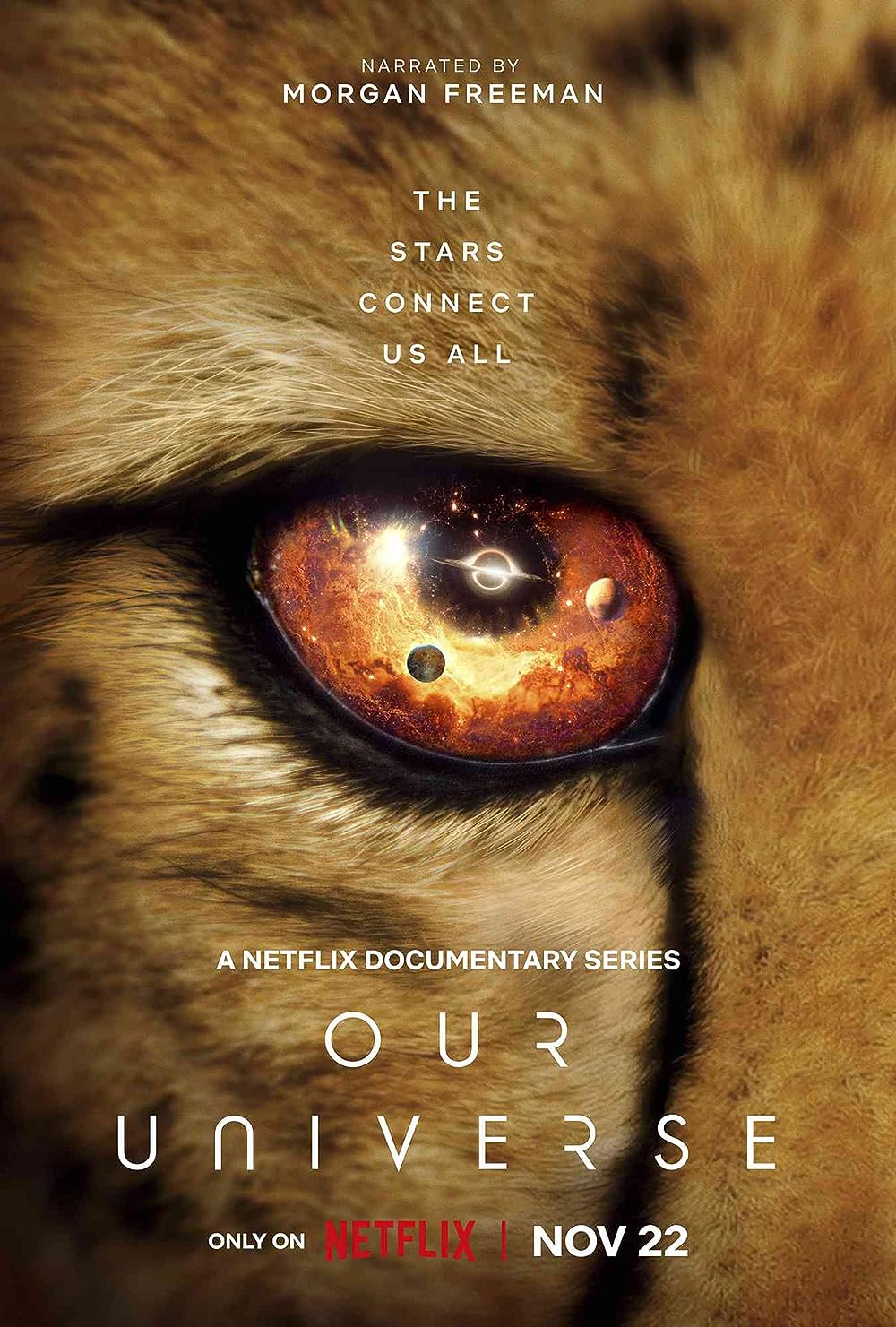 Our Universe 