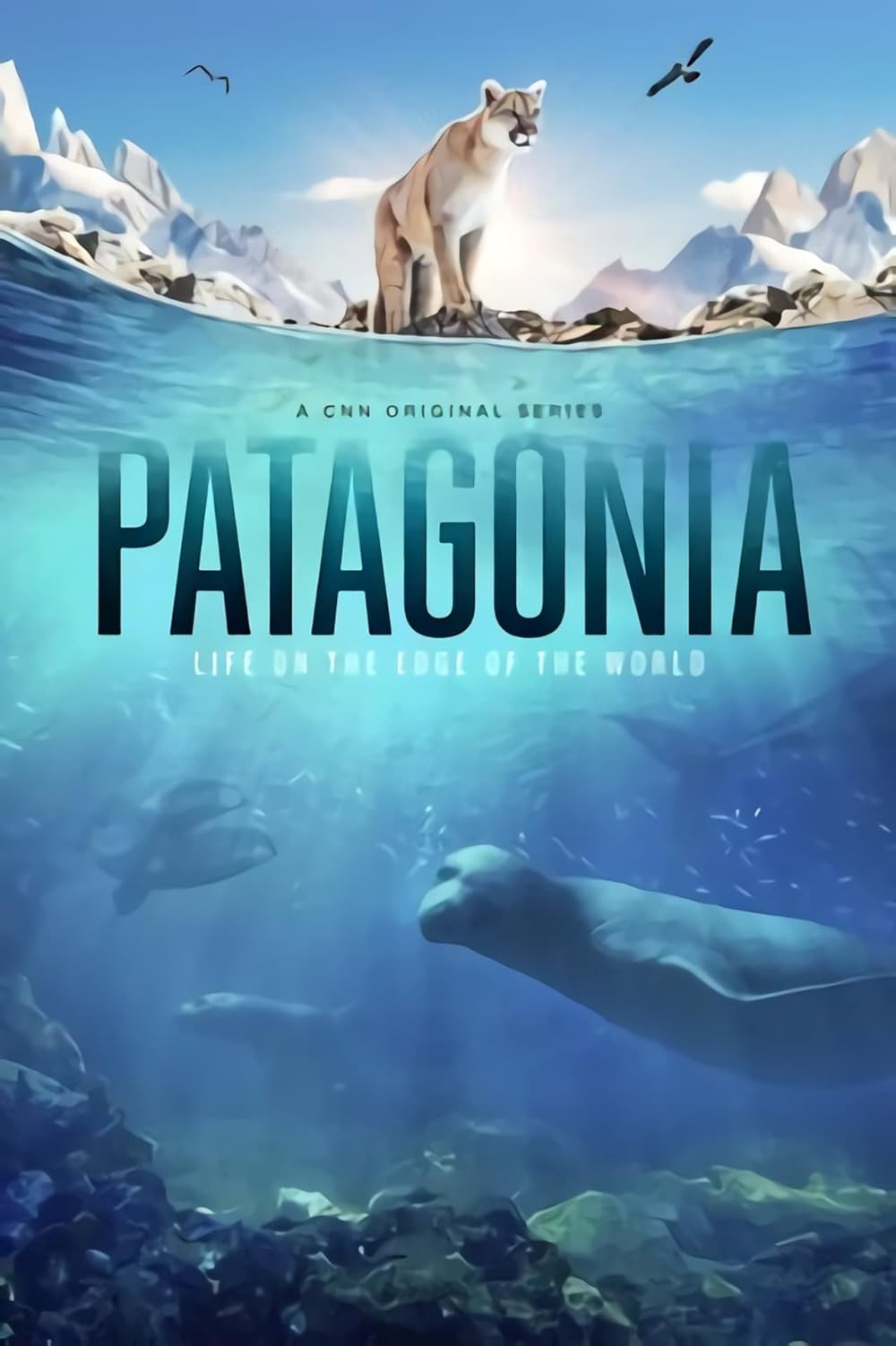 Patagonia 