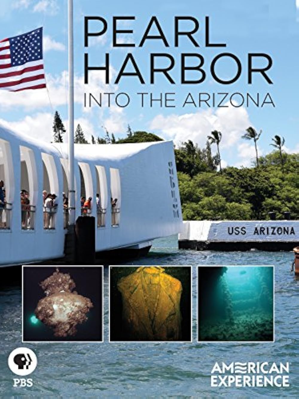 Pearl Harbor: Into the Arizona 