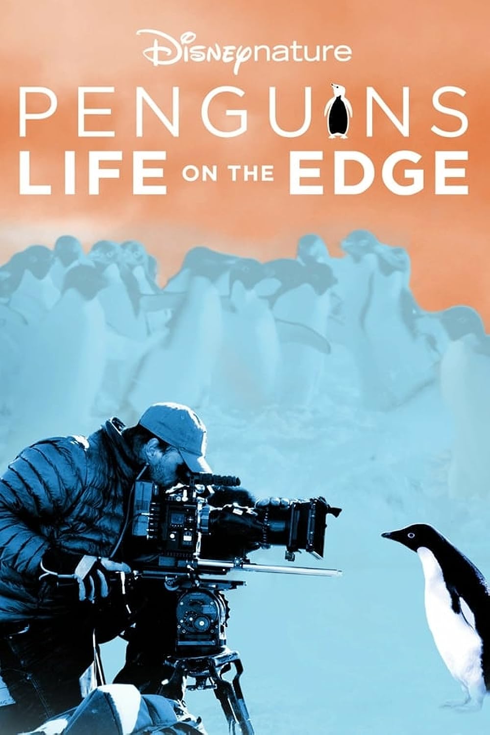 Penguins: Life on the Edge 