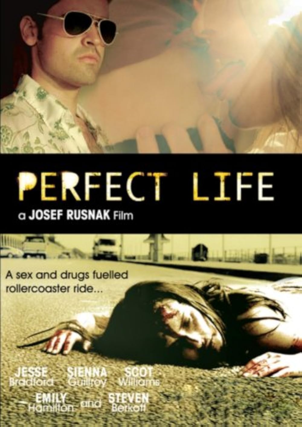 Perfect Life 