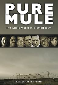 Pure Mule 