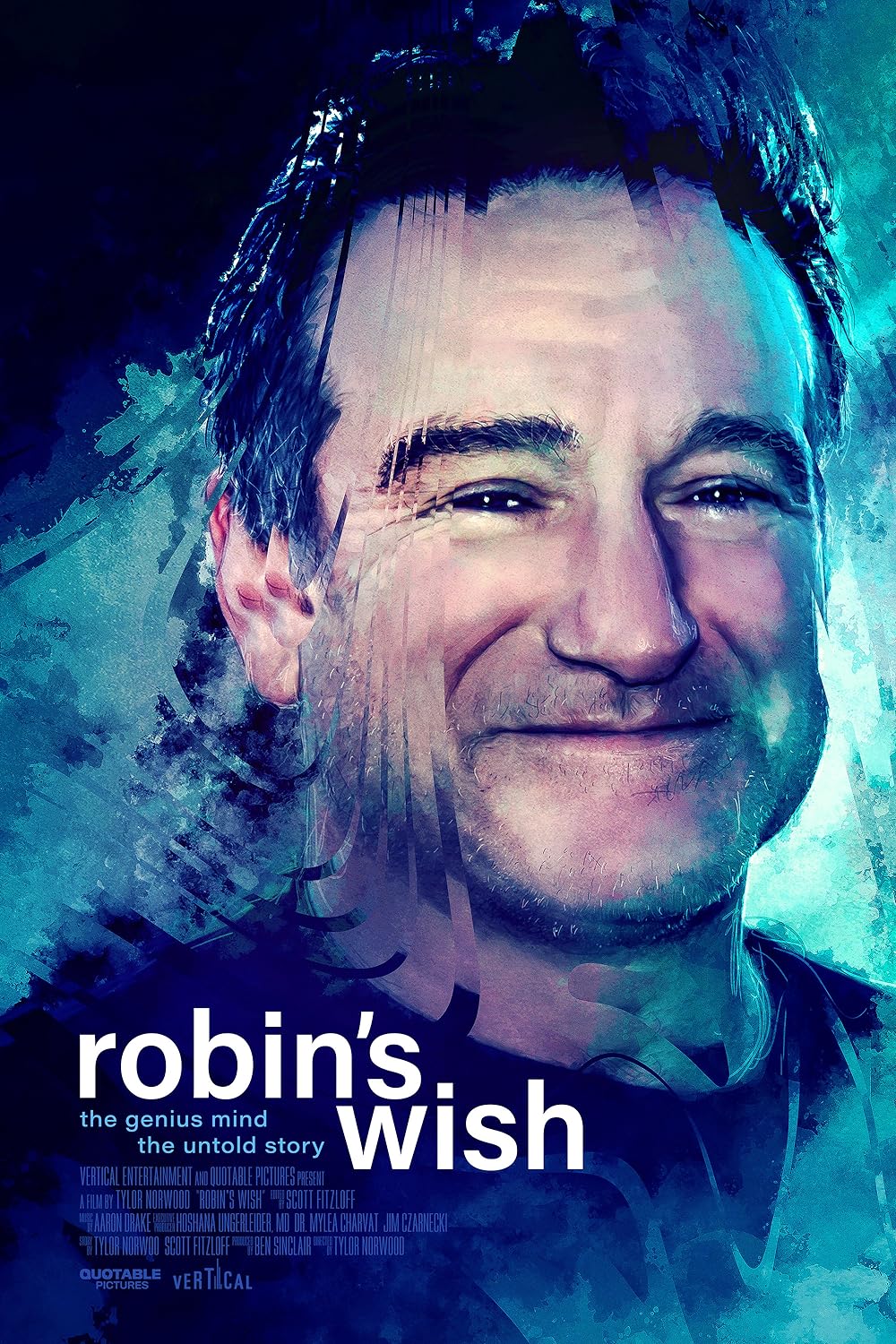 Robin's Wish 