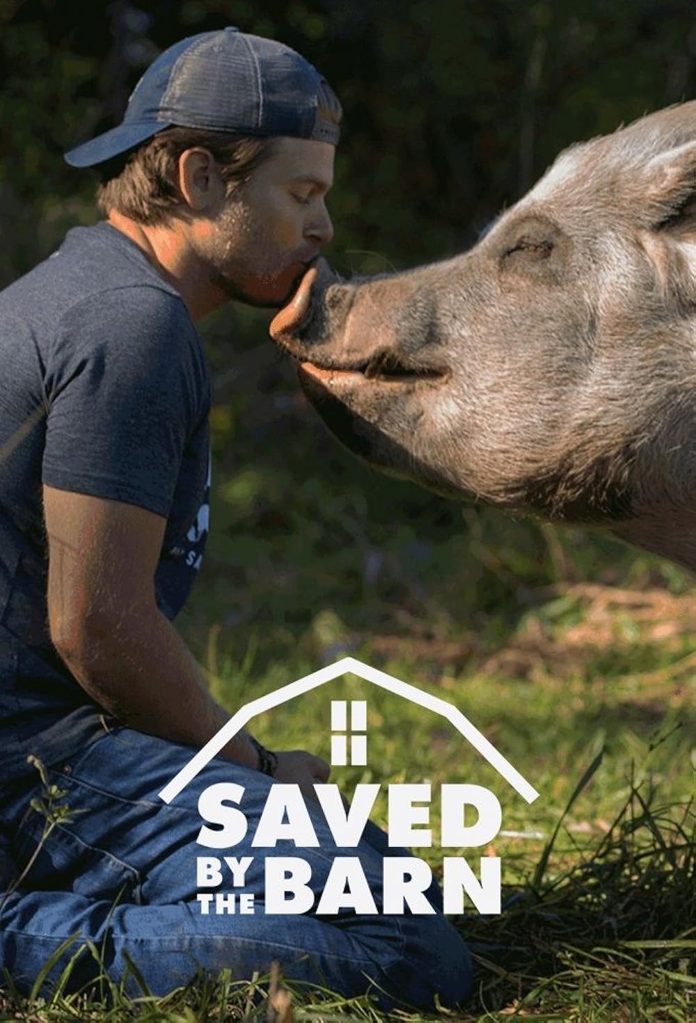 Saved by the Barn 