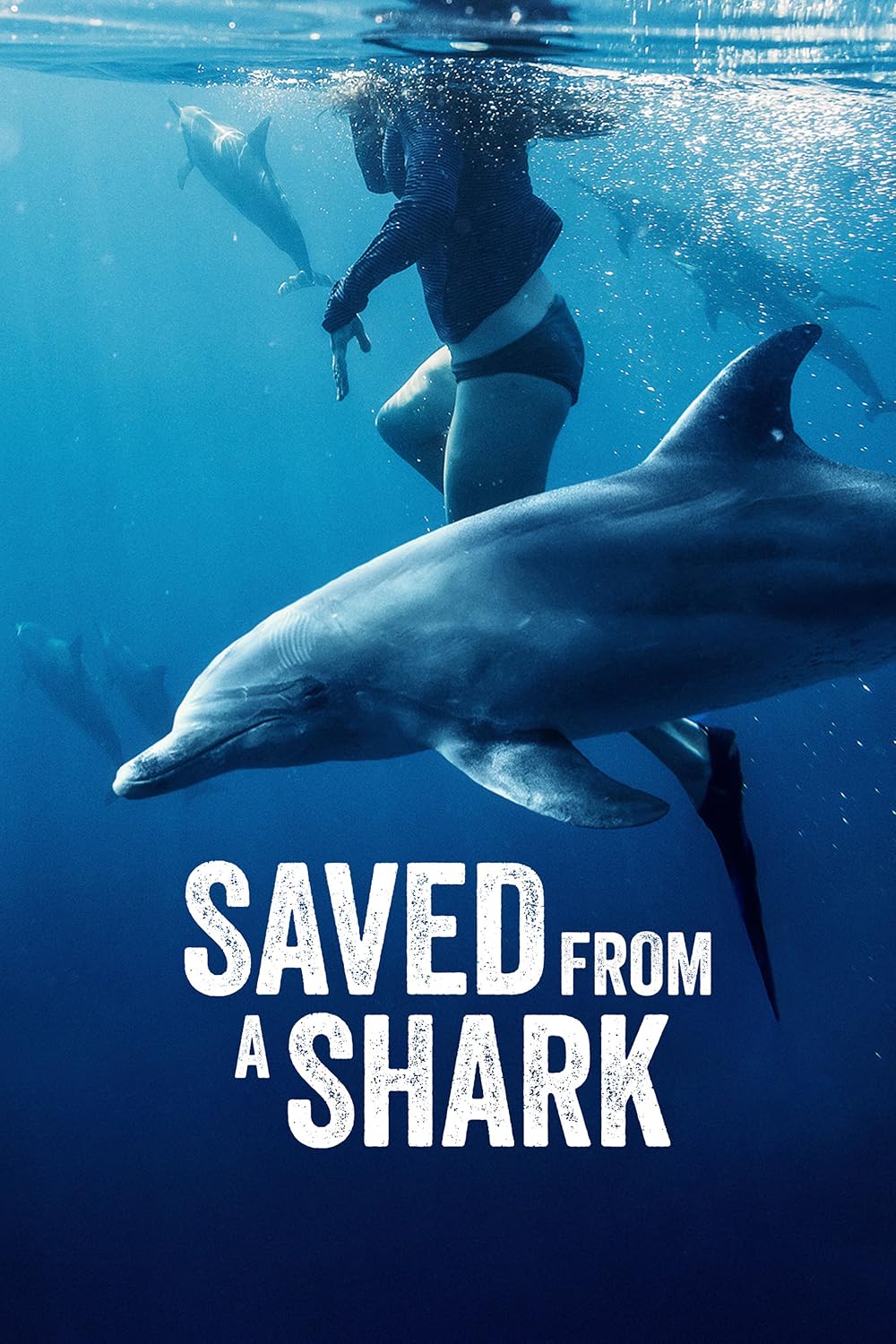 Saved From a Shark 