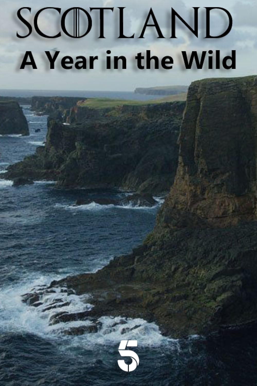 Scotland: A Wild Year 