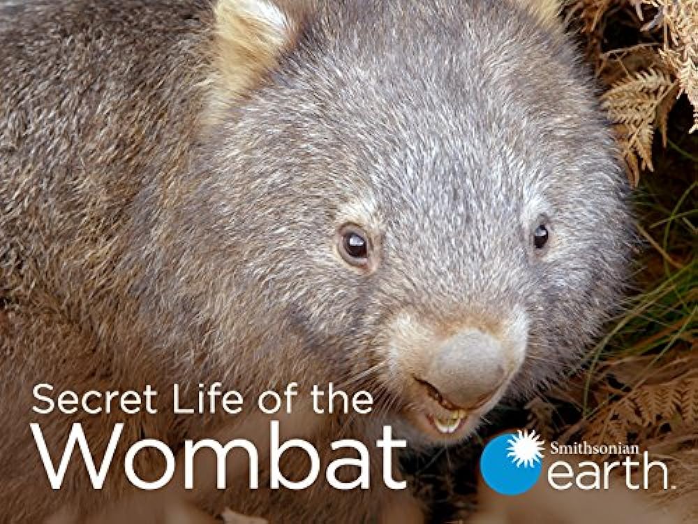 Secret Life of the Wombat 