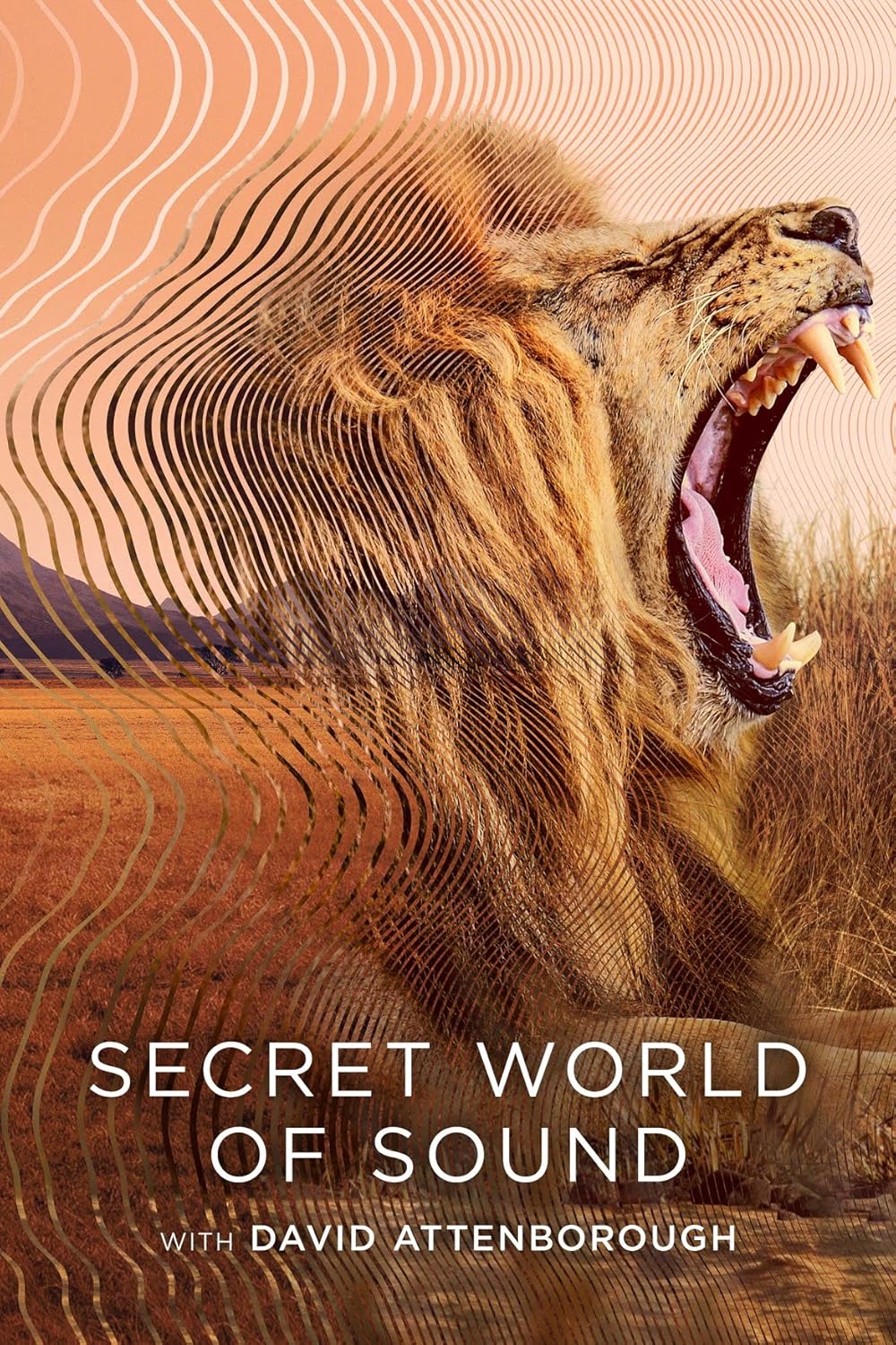 Secret World of Sound with David Attenborough 