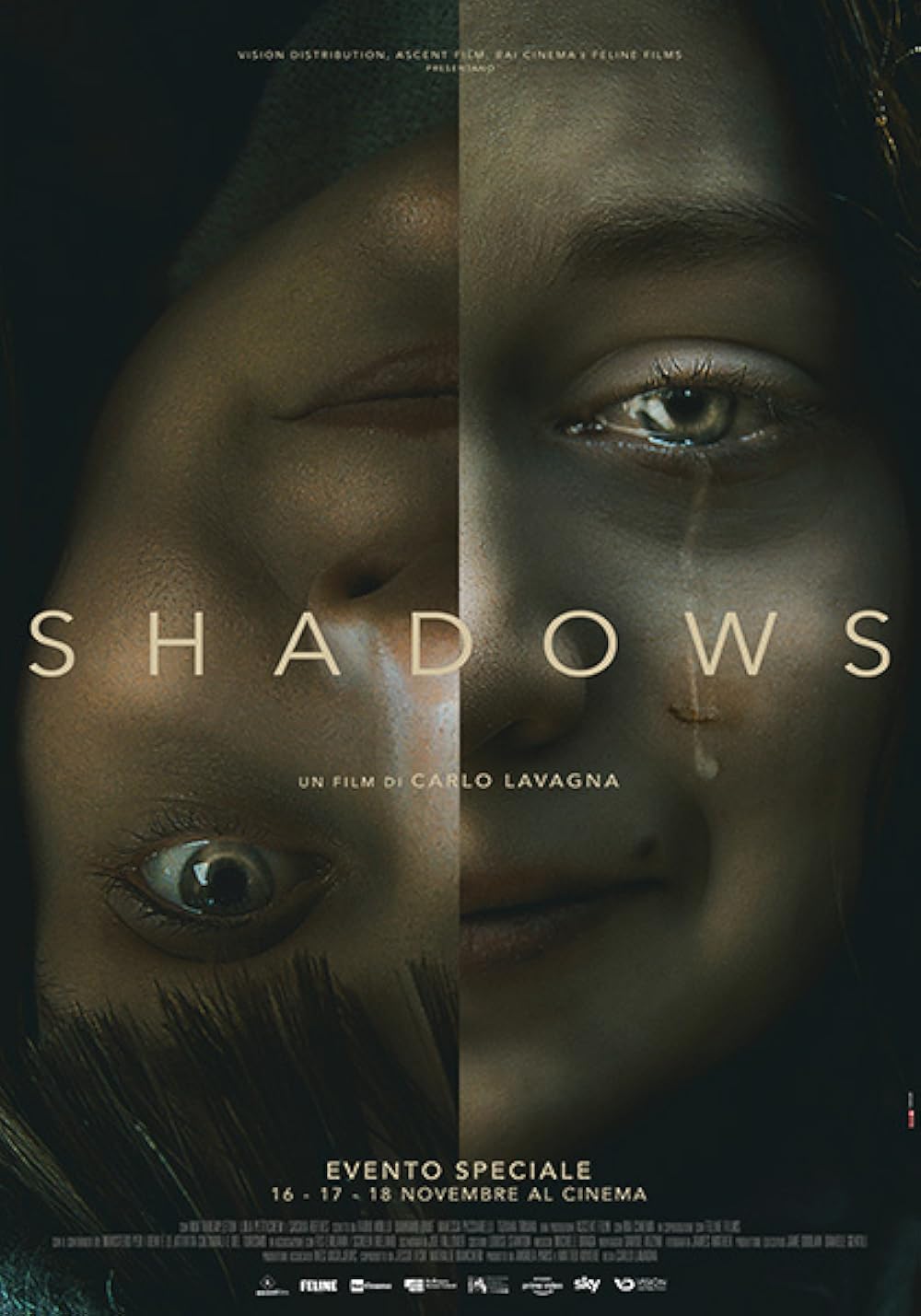 Shadows 