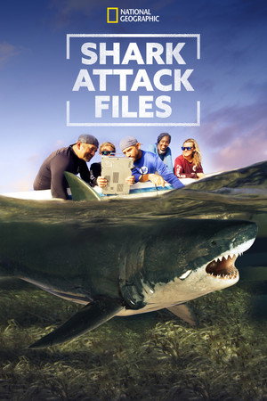 Shark Attack Files 