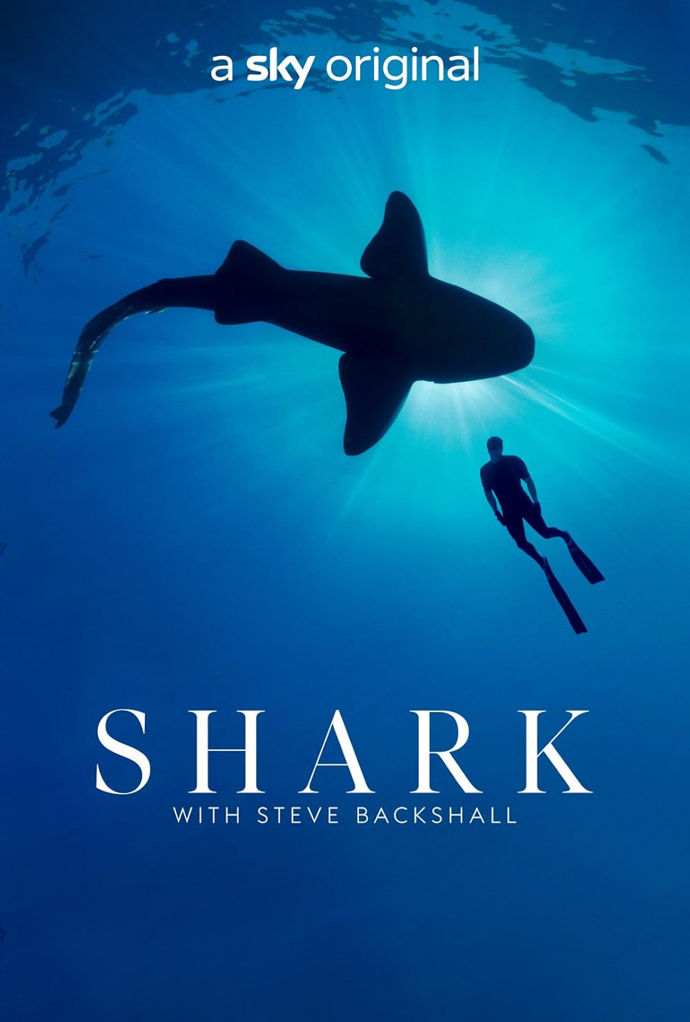 Shark with Steve Backshall 
