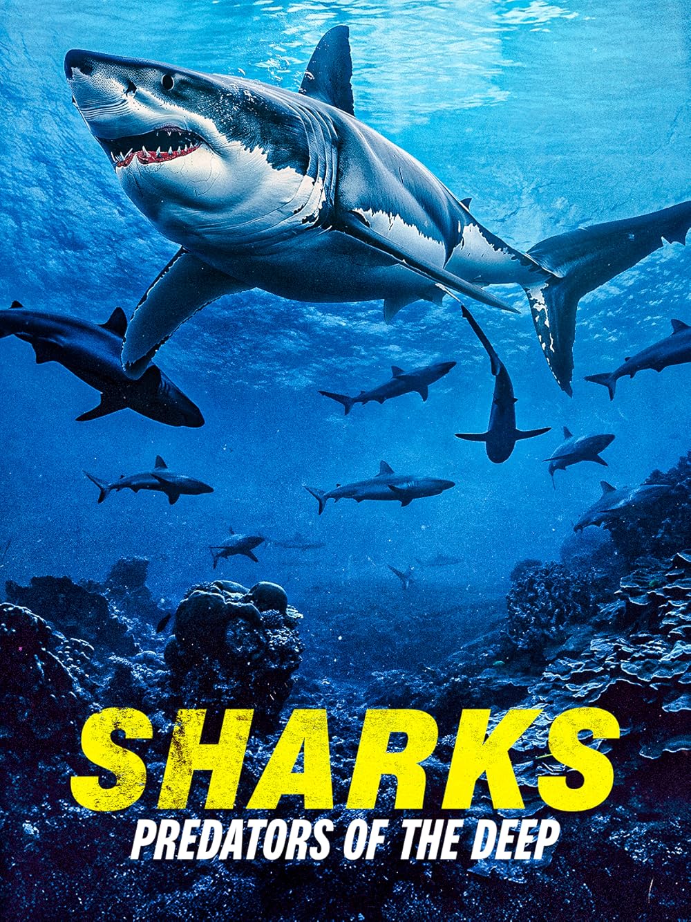 Sharks: Predators of the Deep 