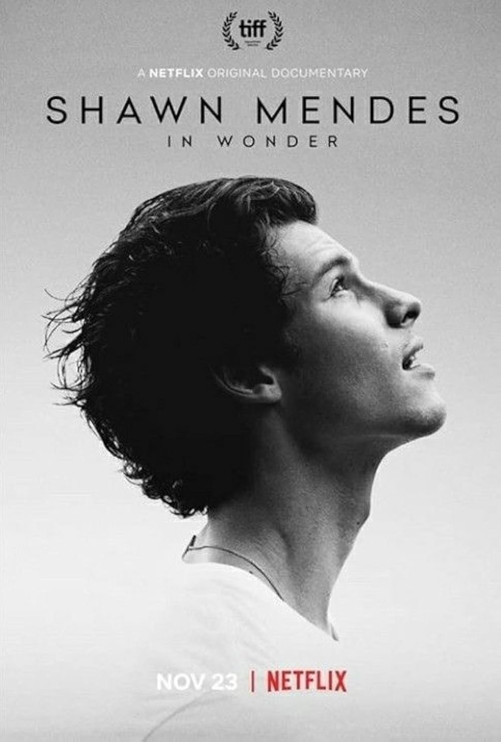 Shawn Mendes: In Wonder 