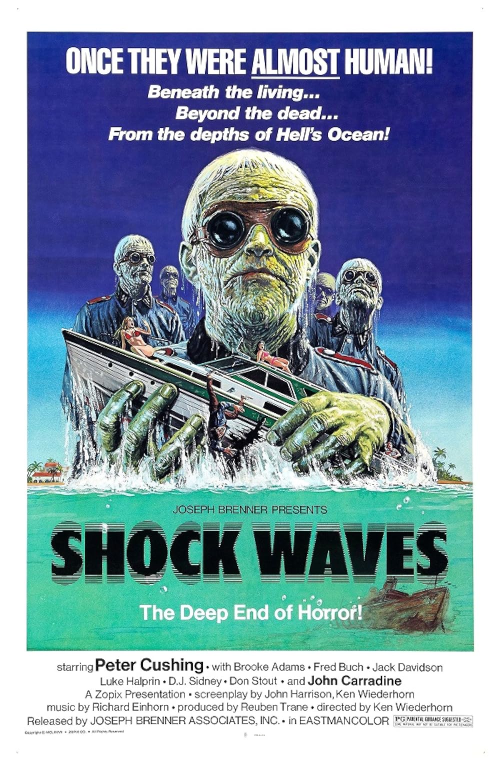 Shock Waves 