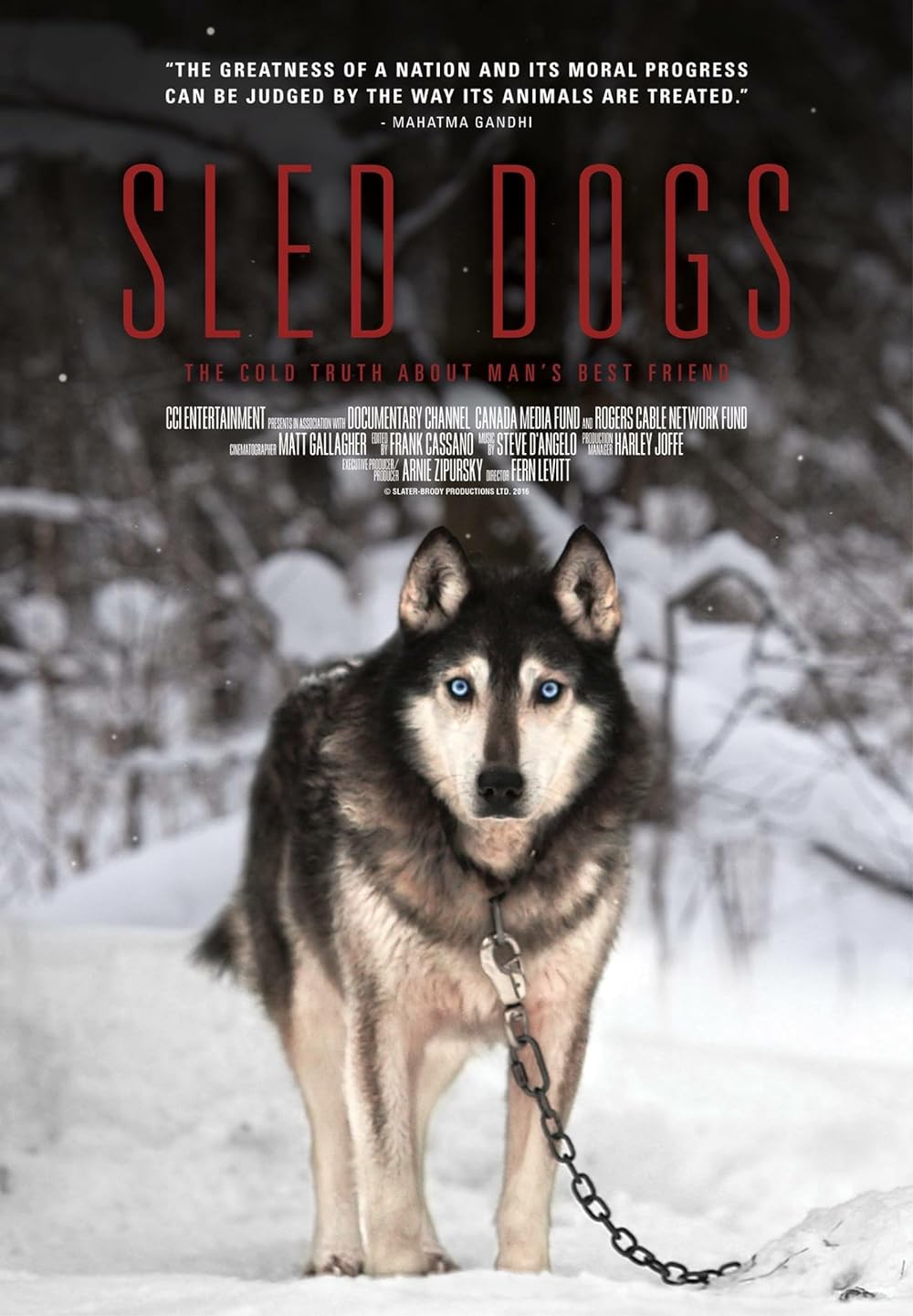 Sled Dogs 