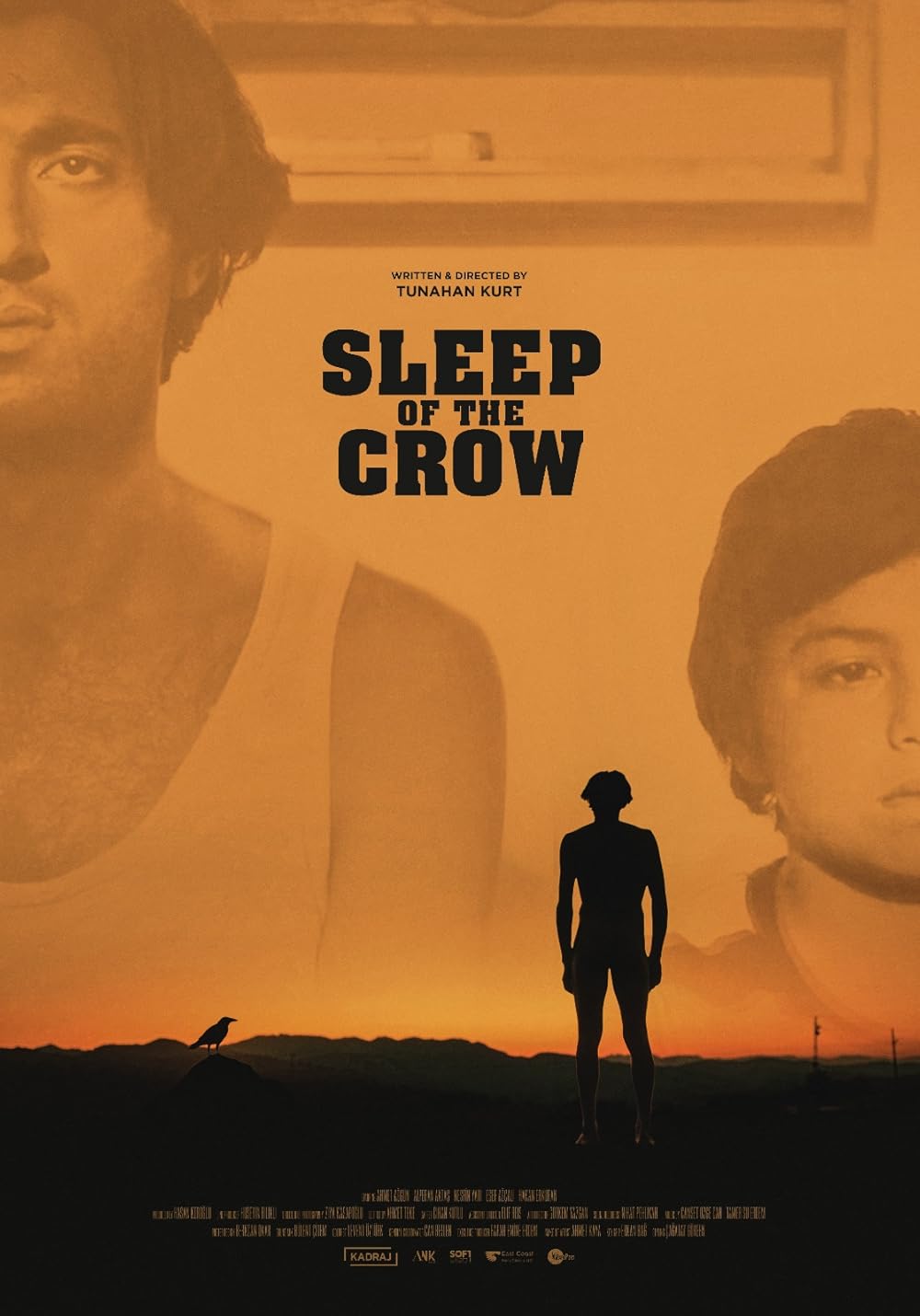 Sleep of the Crow 