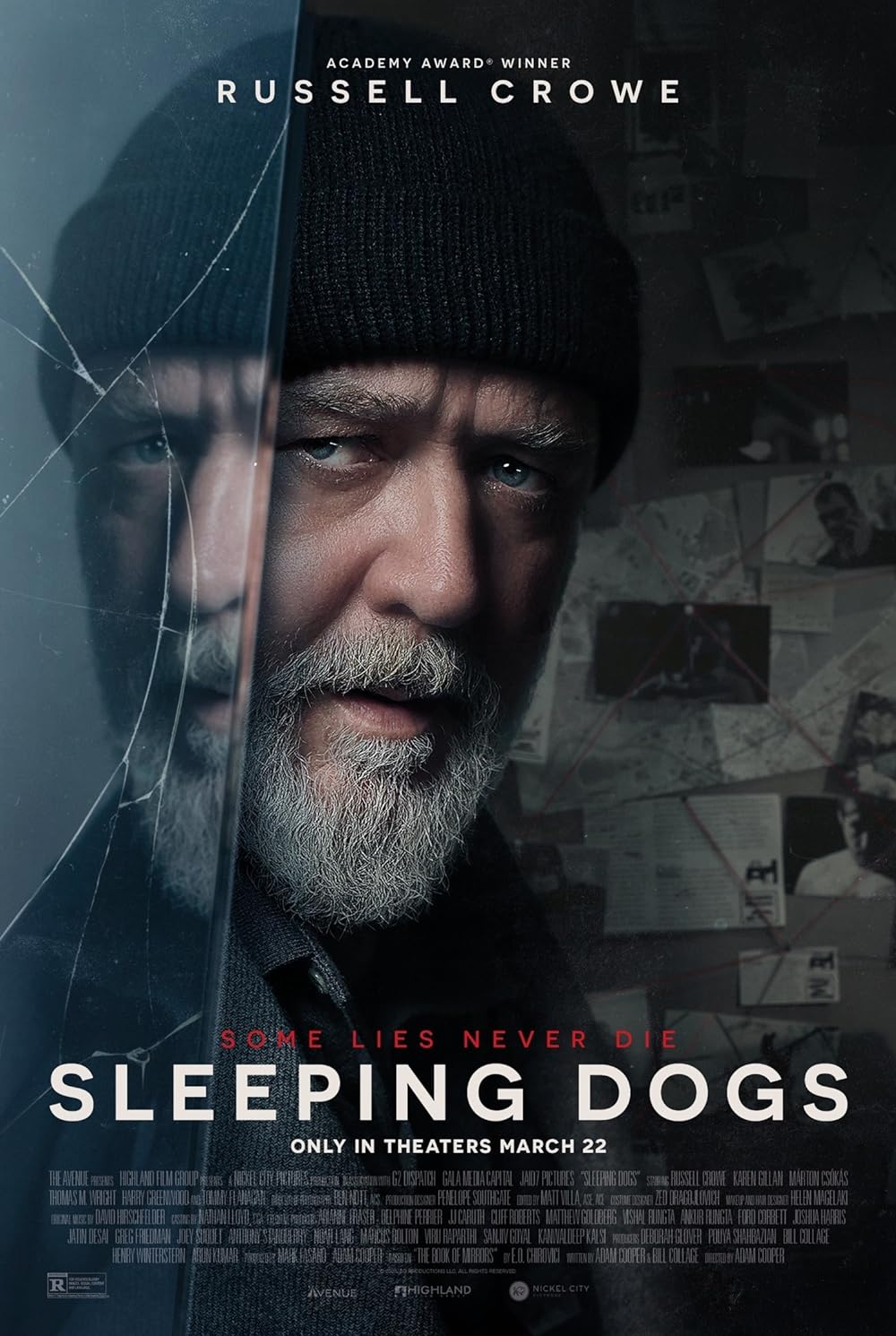 Sleeping Dogs 
