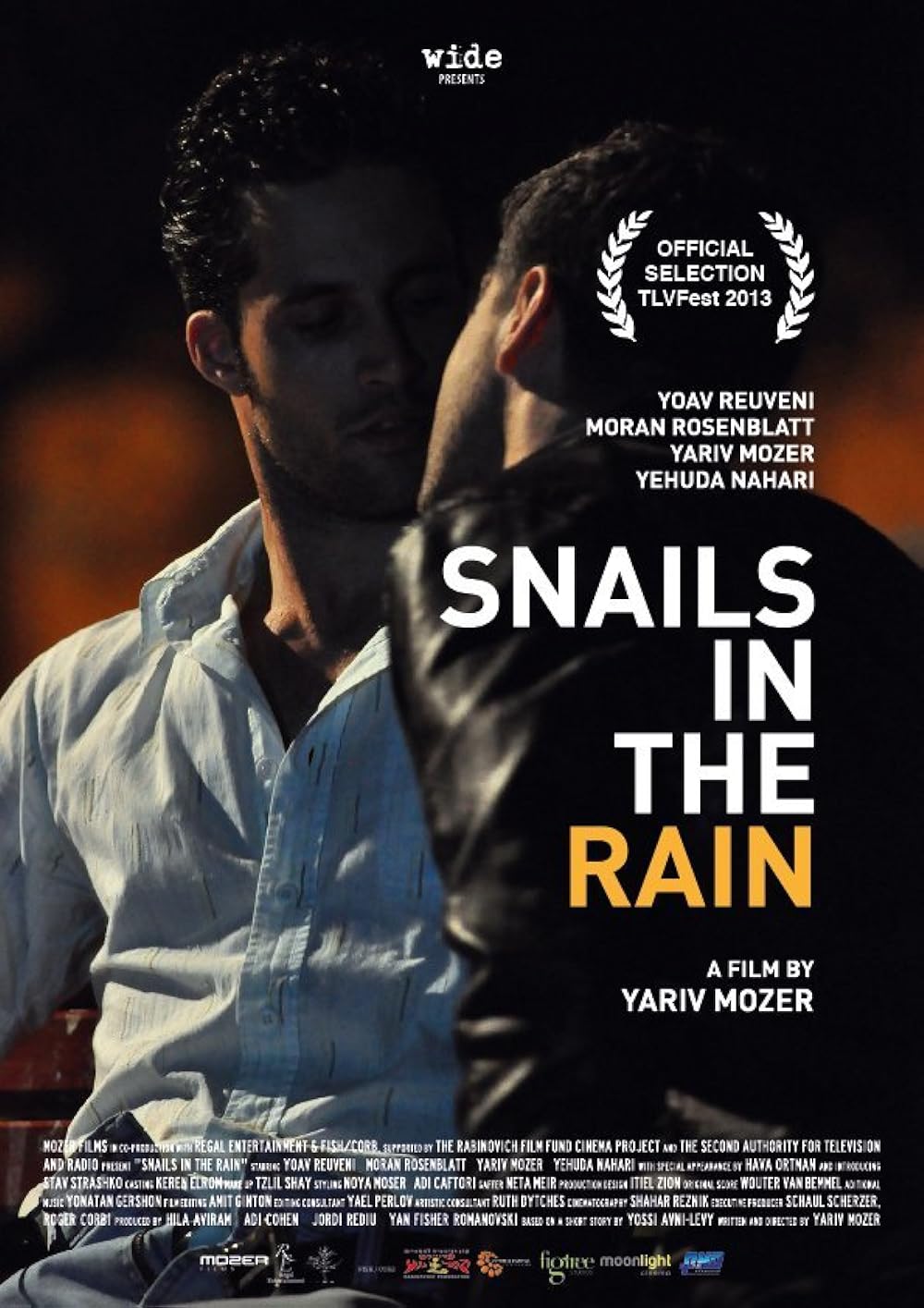 Snails in the Rain 