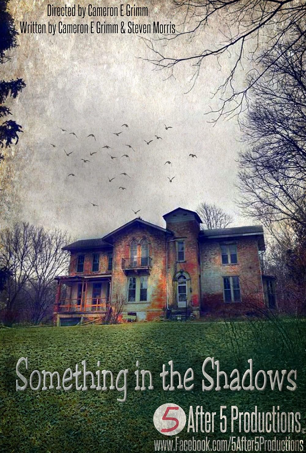 Something in the Shadows 