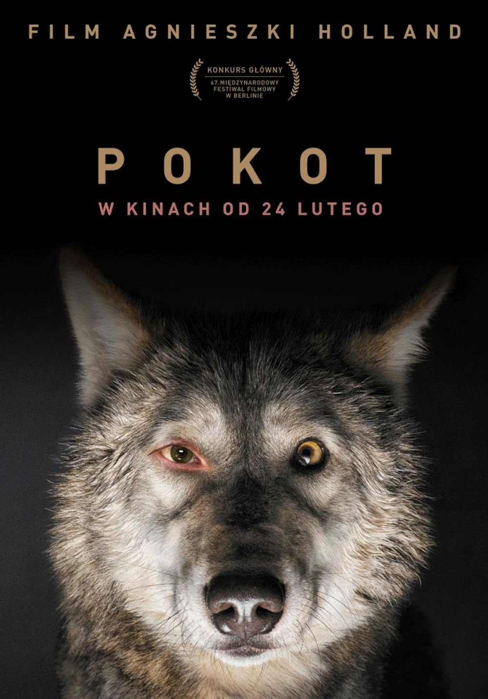 Spoor 