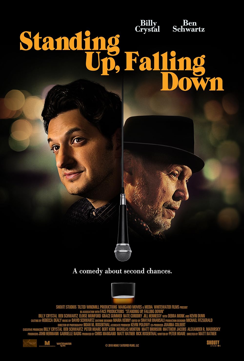 Standing Up, Falling Down 