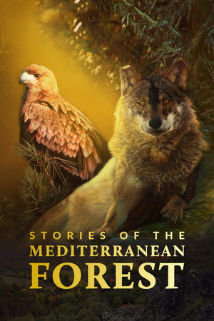 Stories of the Mediterranean Forest 