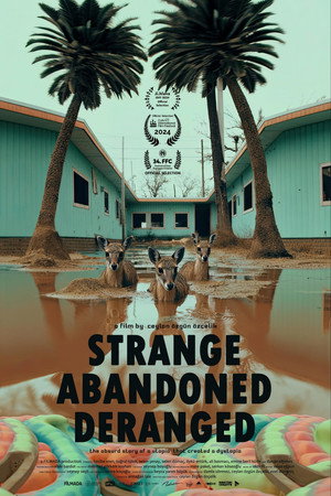 Strange, Abandoned, Deranged 