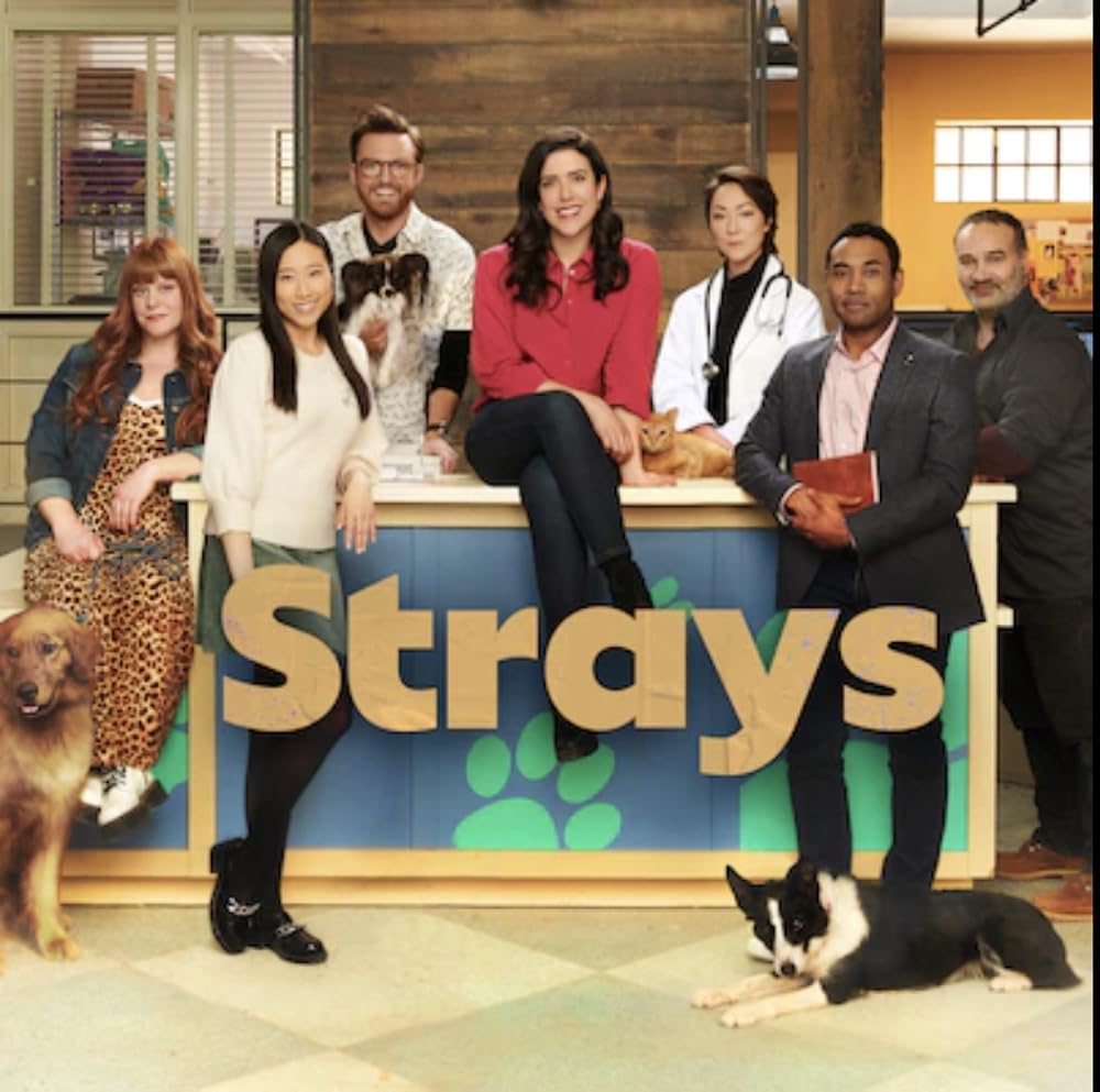 Strays 