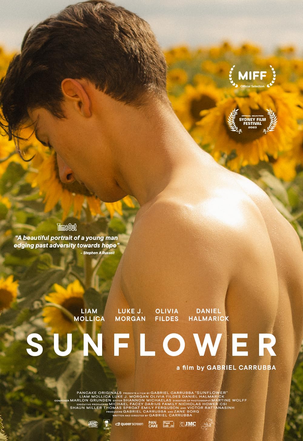 Sunflower 