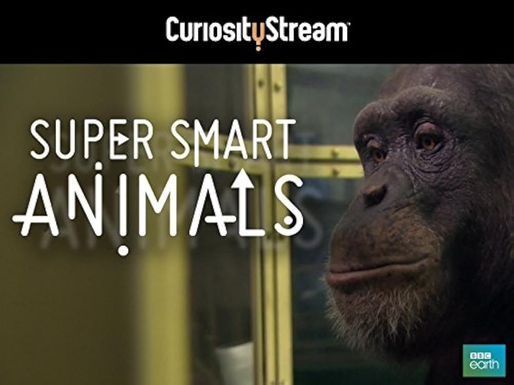 Super Smart Animals 