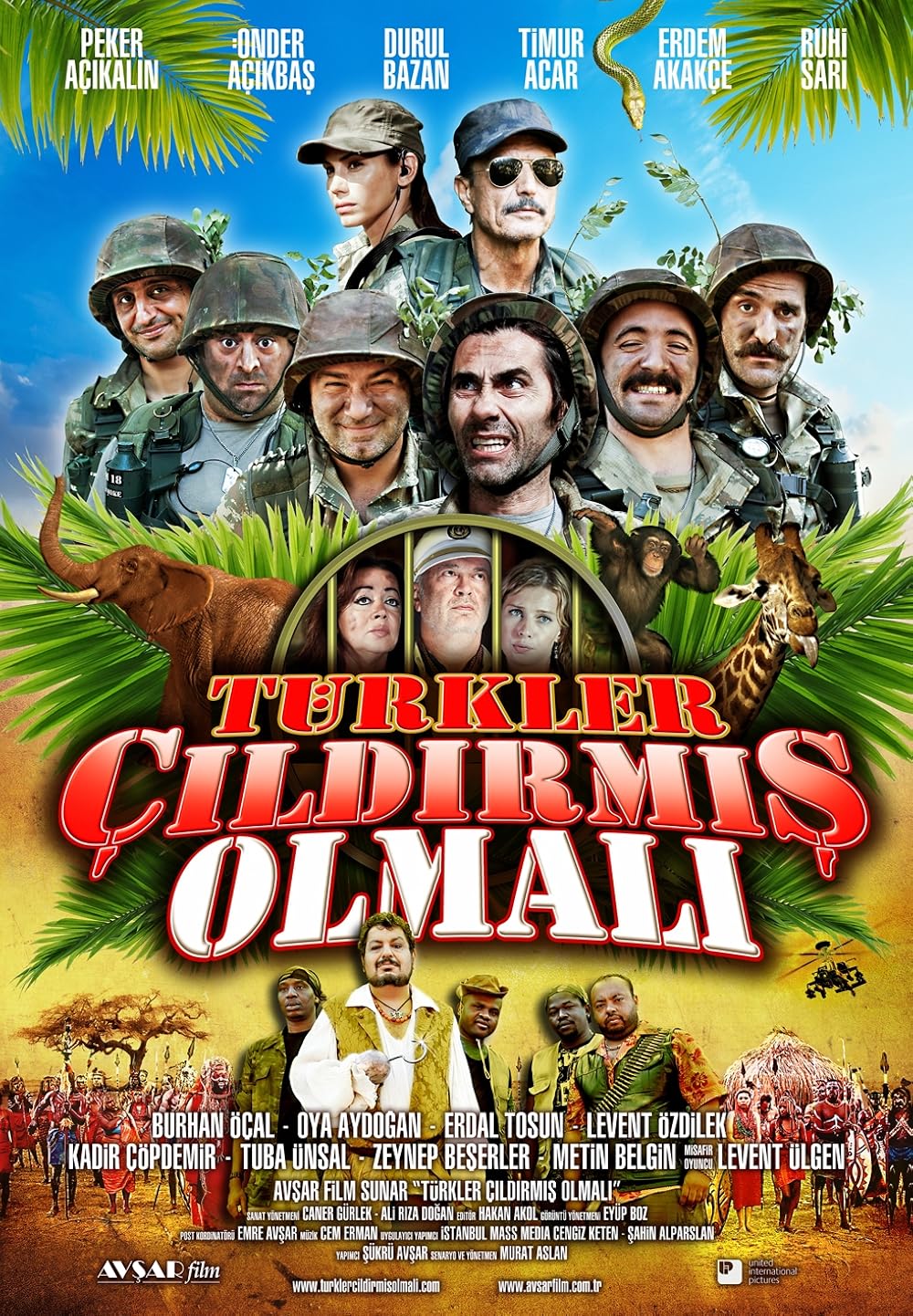 Türkler Çıldırmış Olmalı 