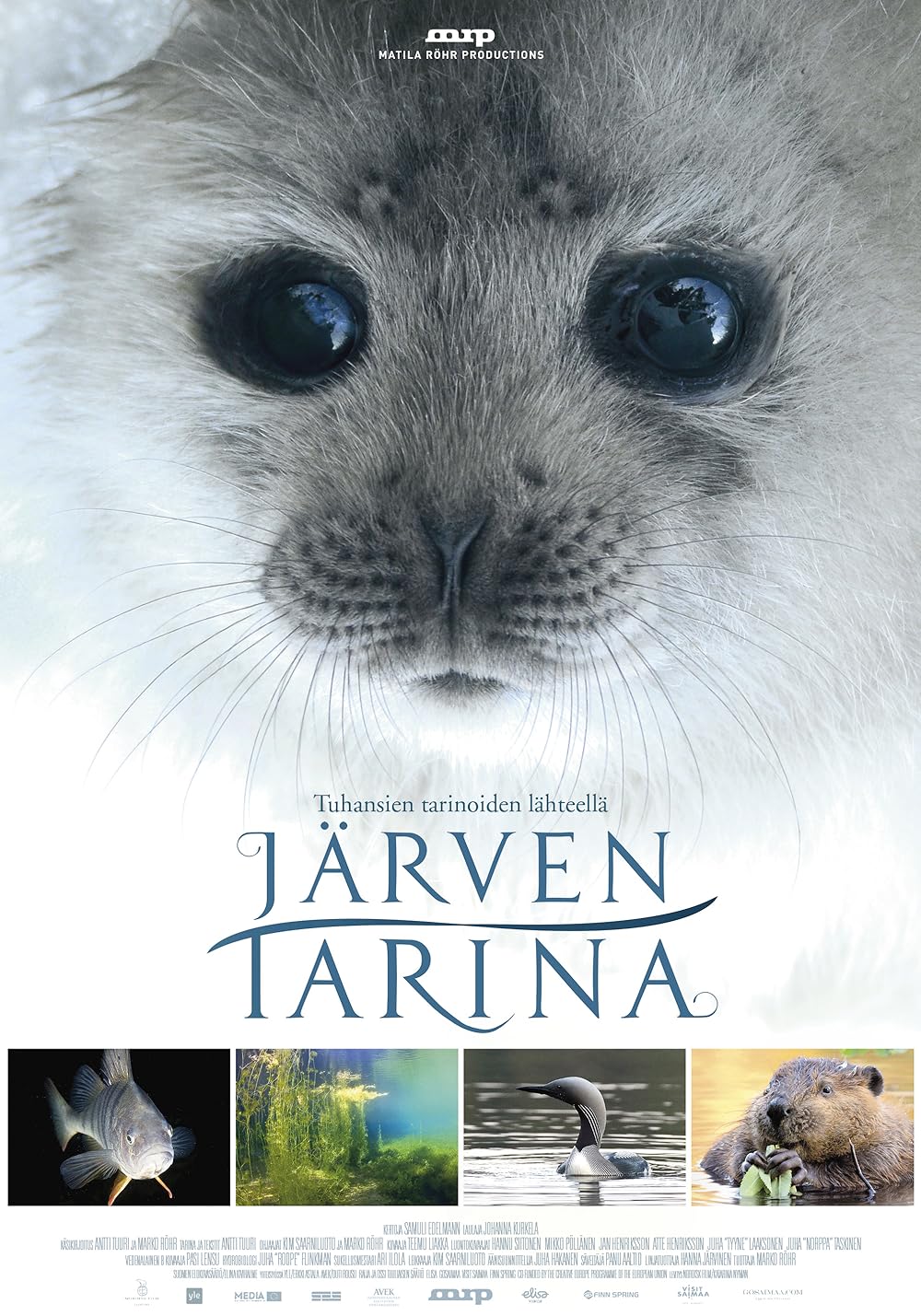 Tale of a Lake 